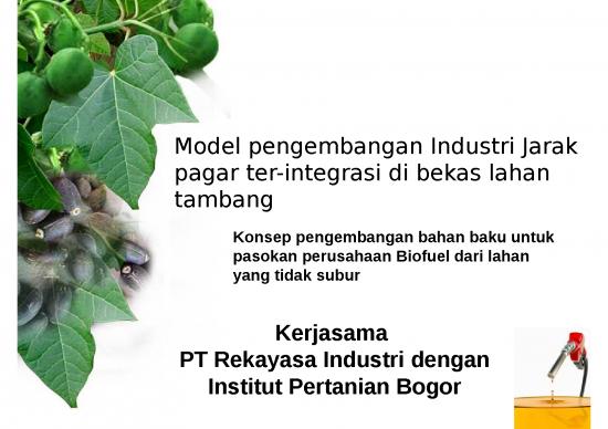 picture1_Presentasi Bisnis Jarak Pagar | Ekonomi Manajemen